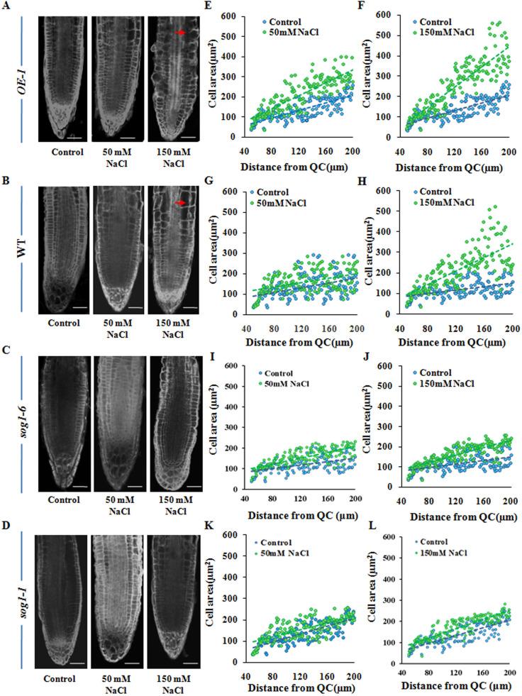 https://cdn.ncbi.nlm.nih.gov/pmc/blobs/8fae/8172935/fde905ac39ab/41598_2021_91293_Fig6_HTML.jpg