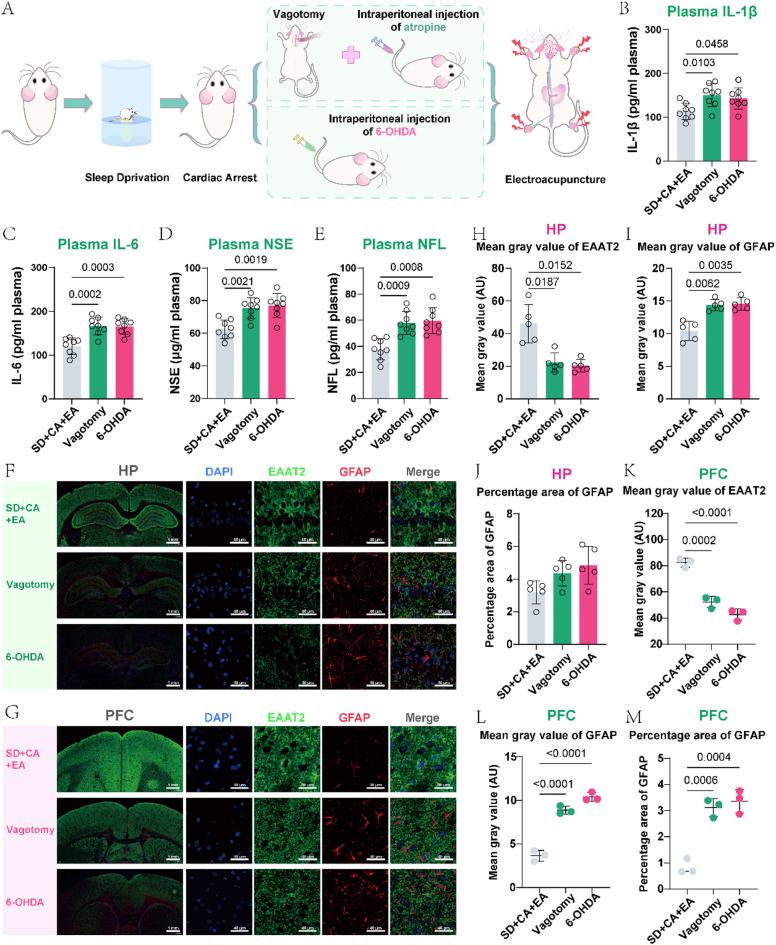 https://cdn.ncbi.nlm.nih.gov/pmc/blobs/8faf/12336346/7209e2a9a867/41598_2025_15563_Fig4_HTML.jpg