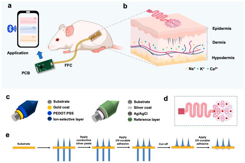 https://cdn.ncbi.nlm.nih.gov/pmc/blobs/8fb0/12110280/70184c39e5aa/biosensors-15-00310-g001.jpg