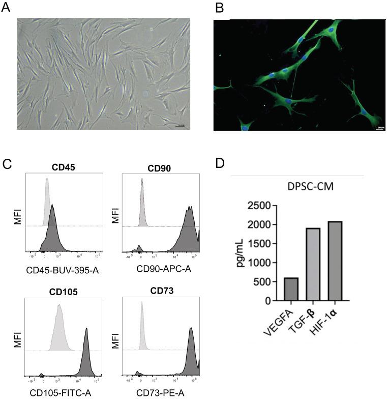 https://cdn.ncbi.nlm.nih.gov/pmc/blobs/8fb2/10489993/f06d53b6df5e/nanomaterials-13-02479-g001.jpg