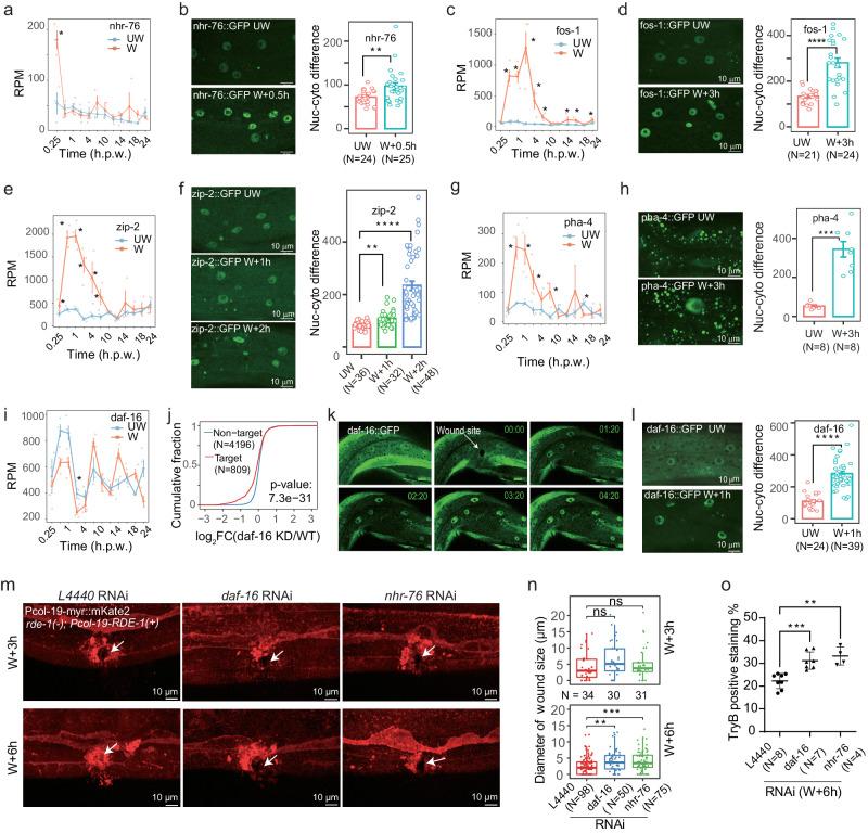 https://cdn.ncbi.nlm.nih.gov/pmc/blobs/8fb2/11156874/73051a588c4d/42003_2024_6352_Fig7_HTML.jpg