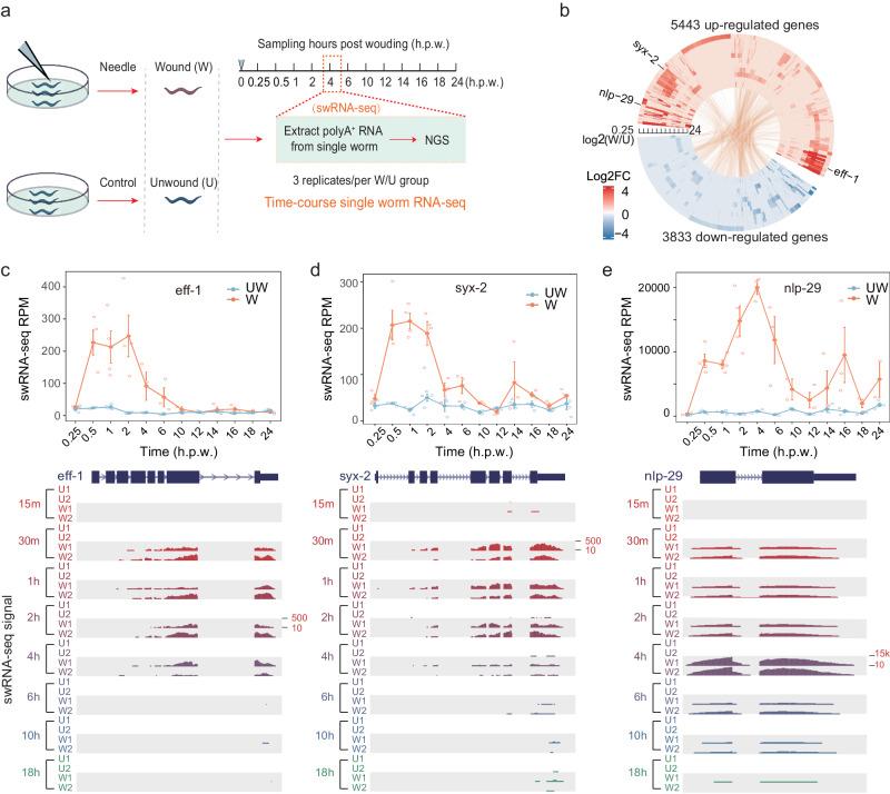 https://cdn.ncbi.nlm.nih.gov/pmc/blobs/8fb2/11156874/b4dfb4d3af98/42003_2024_6352_Fig1_HTML.jpg
