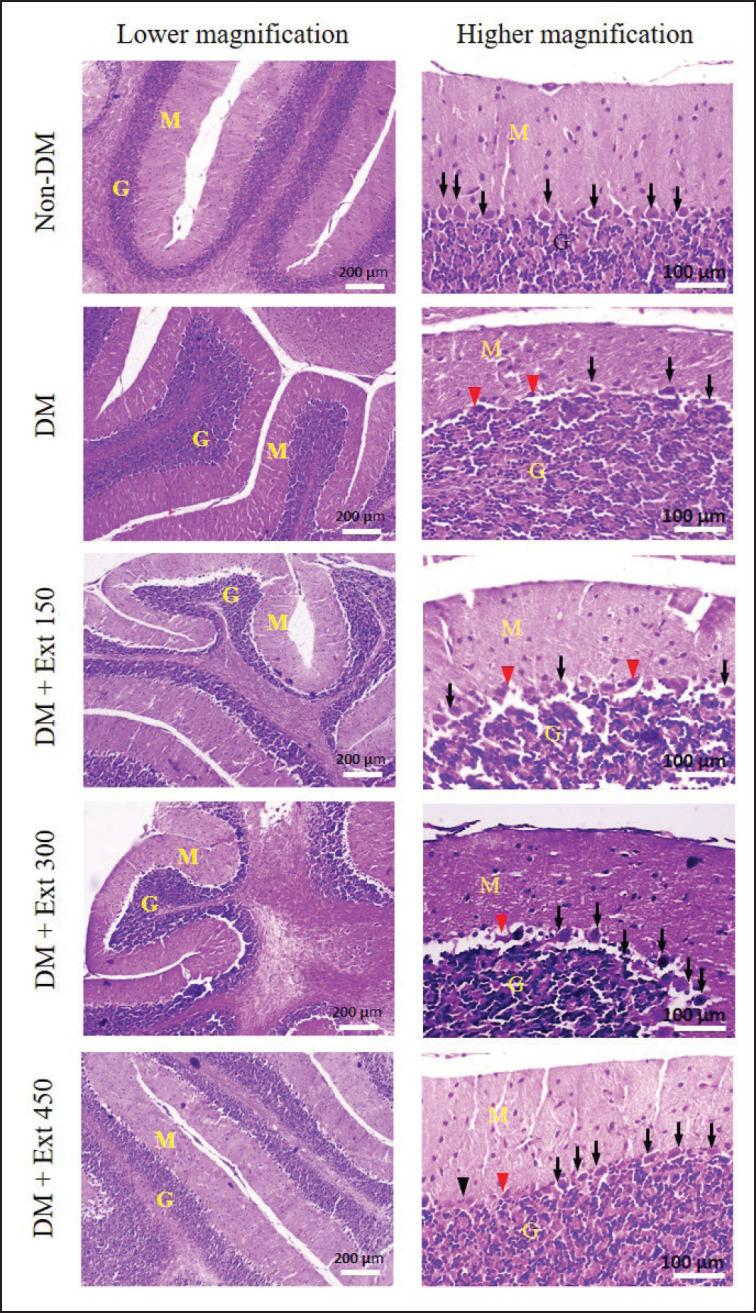 https://cdn.ncbi.nlm.nih.gov/pmc/blobs/8fb3/10868678/a0d44305286e/JAVAR-10-608-g004.jpg
