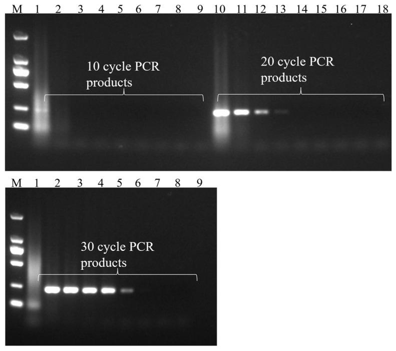 https://cdn.ncbi.nlm.nih.gov/pmc/blobs/8fb3/11171922/6faae0fe2dc1/foods-13-01743-g008.jpg