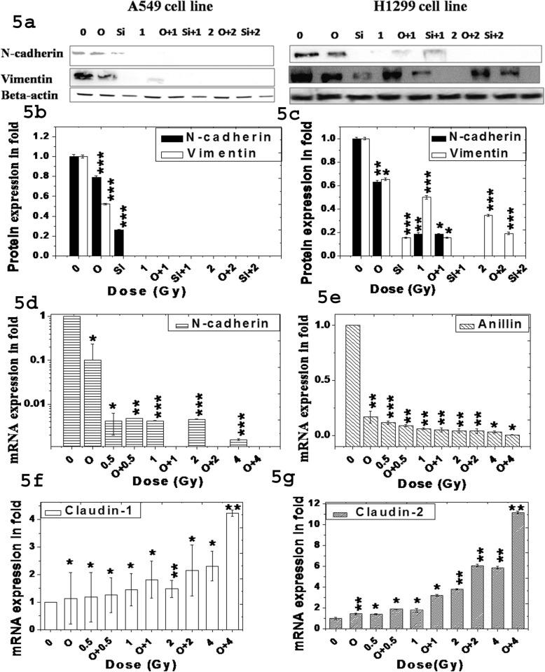 https://cdn.ncbi.nlm.nih.gov/pmc/blobs/8fb3/6704719/120ec0ebbf0f/12885_2019_6015_Fig5_HTML.jpg