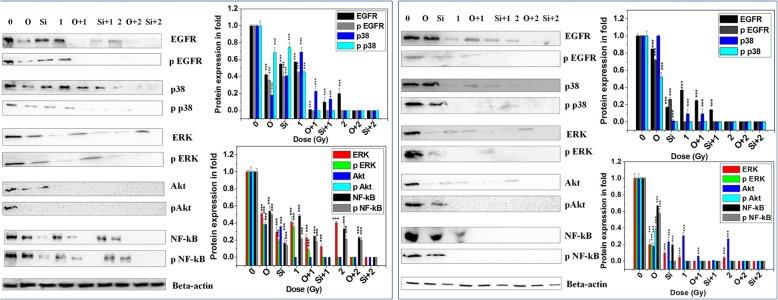 https://cdn.ncbi.nlm.nih.gov/pmc/blobs/8fb3/6704719/30054fb3ddc1/12885_2019_6015_Fig4_HTML.jpg