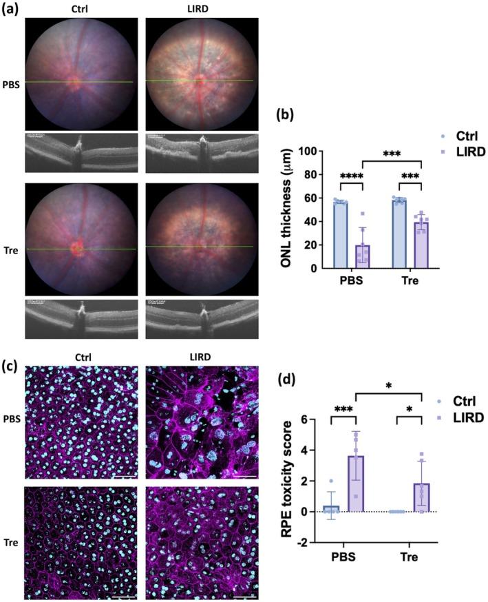 https://cdn.ncbi.nlm.nih.gov/pmc/blobs/8fb4/12266760/ad0b2ed5f798/ACEL-24-e70081-g002.jpg