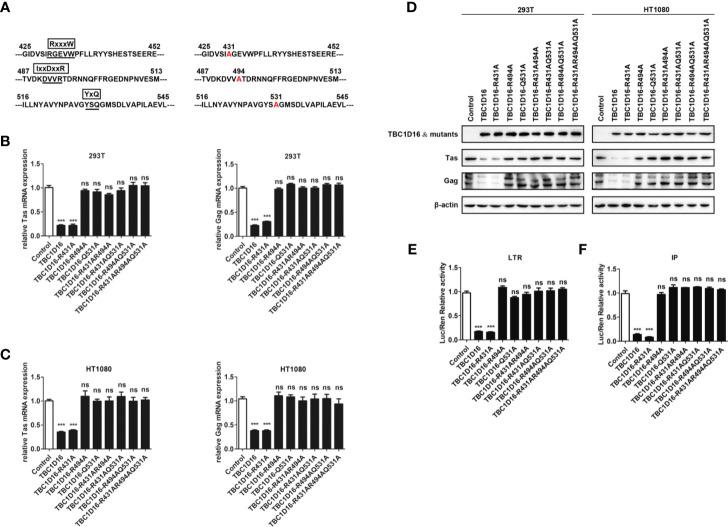 https://cdn.ncbi.nlm.nih.gov/pmc/blobs/8fb4/8339588/81882a8b8645/fimmu-12-658660-g005.jpg