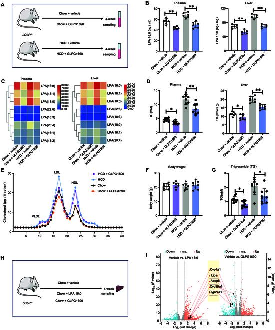 https://cdn.ncbi.nlm.nih.gov/pmc/blobs/8fb5/11865365/bba1fccc7d62/research.0629.fig.005.jpg
