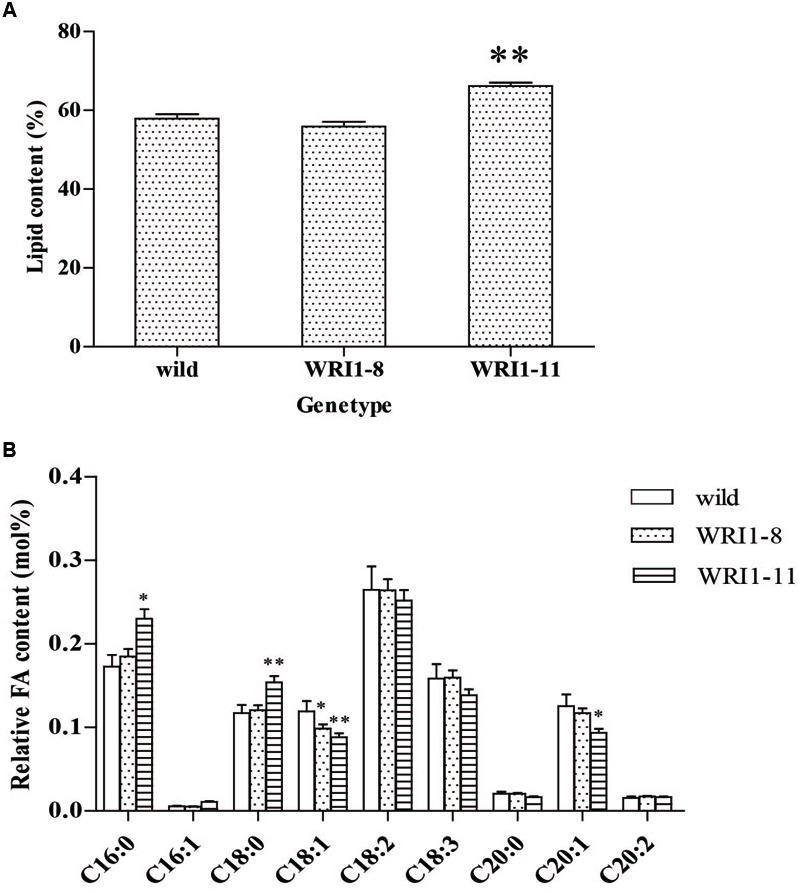 https://cdn.ncbi.nlm.nih.gov/pmc/blobs/8fb5/5263148/acdf5311cae9/fpls-08-00063-g007.jpg