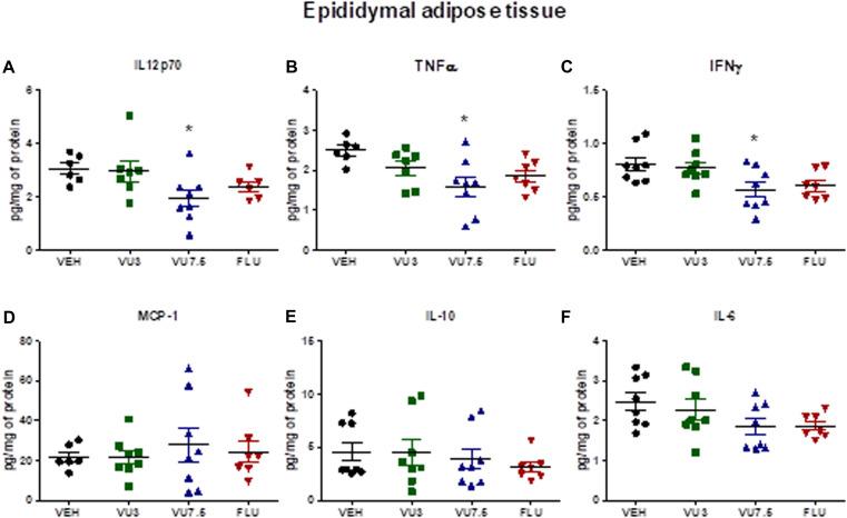 https://cdn.ncbi.nlm.nih.gov/pmc/blobs/8fb8/7902877/2d5b3a865b1e/fnins-15-631311-g003.jpg