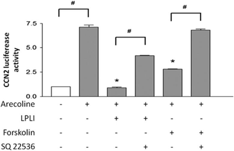 https://cdn.ncbi.nlm.nih.gov/pmc/blobs/8fbc/5379159/6ab0f542c785/ijos201649f4.jpg