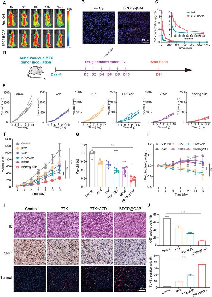 https://cdn.ncbi.nlm.nih.gov/pmc/blobs/8fbd/10787093/099199851a2f/ADVS-11-2306230-g008.jpg