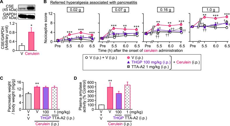 https://cdn.ncbi.nlm.nih.gov/pmc/blobs/8fbe/9800310/bbdc39c696de/gr7.jpg