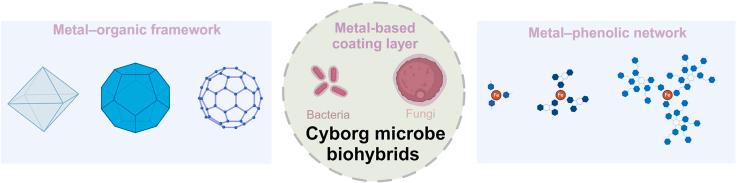 https://cdn.ncbi.nlm.nih.gov/pmc/blobs/8fc0/11950775/2007015119fe/ga1.jpg
