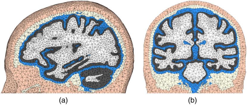 https://cdn.ncbi.nlm.nih.gov/pmc/blobs/8fc3/7035879/253eb92c7c2c/NPh-007-015008-g008.jpg