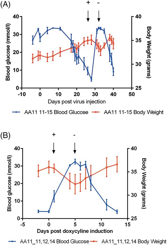 https://cdn.ncbi.nlm.nih.gov/pmc/blobs/8fc6/6590178/16b933b2c15c/JGM-21-na-g006.jpg