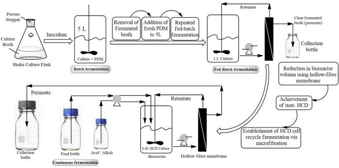 https://cdn.ncbi.nlm.nih.gov/pmc/blobs/8fc7/12307837/61d2bad9ab0b/40643_2025_923_Fig3_HTML.jpg
