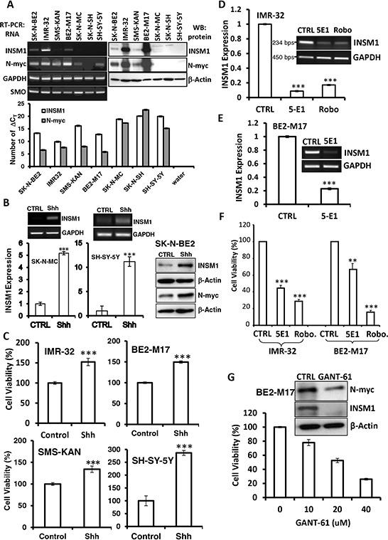 https://cdn.ncbi.nlm.nih.gov/pmc/blobs/8fc8/4742205/0c8731b8aea0/oncotarget-06-36700-g001.jpg