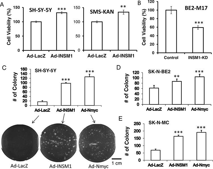 https://cdn.ncbi.nlm.nih.gov/pmc/blobs/8fc8/4742205/0faf88b6175c/oncotarget-06-36700-g005.jpg