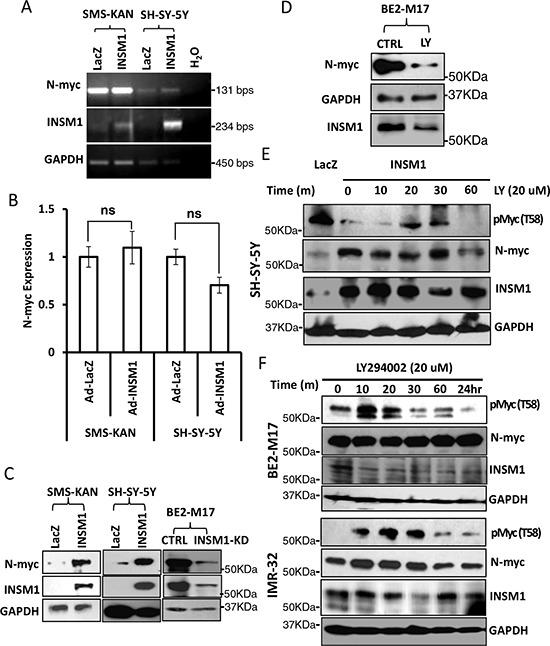 https://cdn.ncbi.nlm.nih.gov/pmc/blobs/8fc8/4742205/966d2a14cb5a/oncotarget-06-36700-g004.jpg