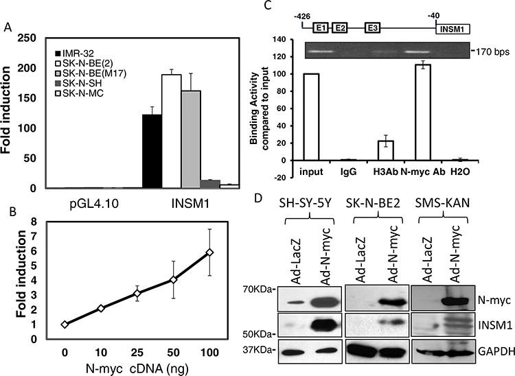 https://cdn.ncbi.nlm.nih.gov/pmc/blobs/8fc8/4742205/b712824f0904/oncotarget-06-36700-g002.jpg