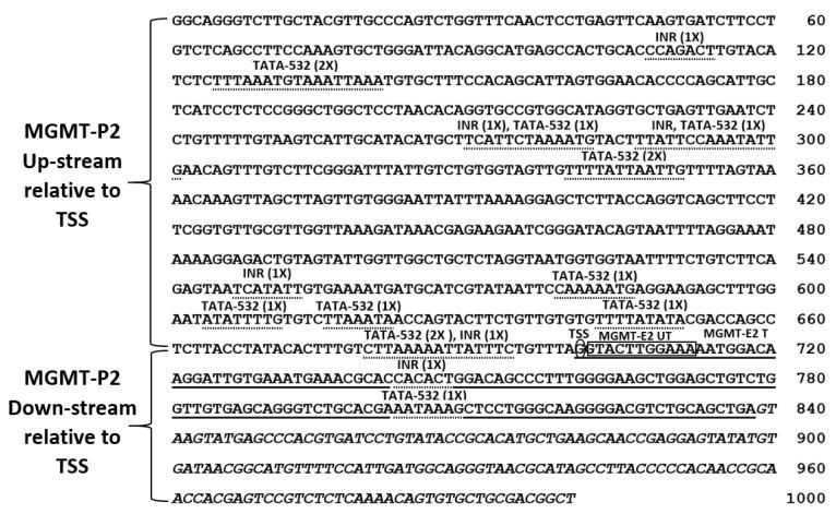 https://cdn.ncbi.nlm.nih.gov/pmc/blobs/8fc8/8228370/229002d53341/genes-12-00888-g002.jpg