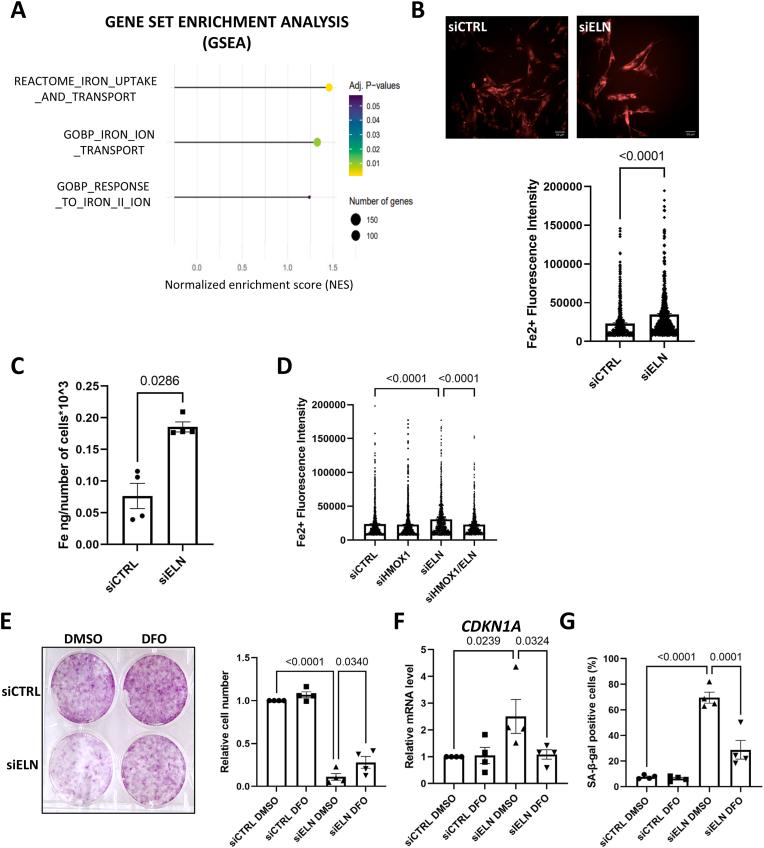 https://cdn.ncbi.nlm.nih.gov/pmc/blobs/8fc9/11167390/6aab3c4bfa4b/gr4.jpg