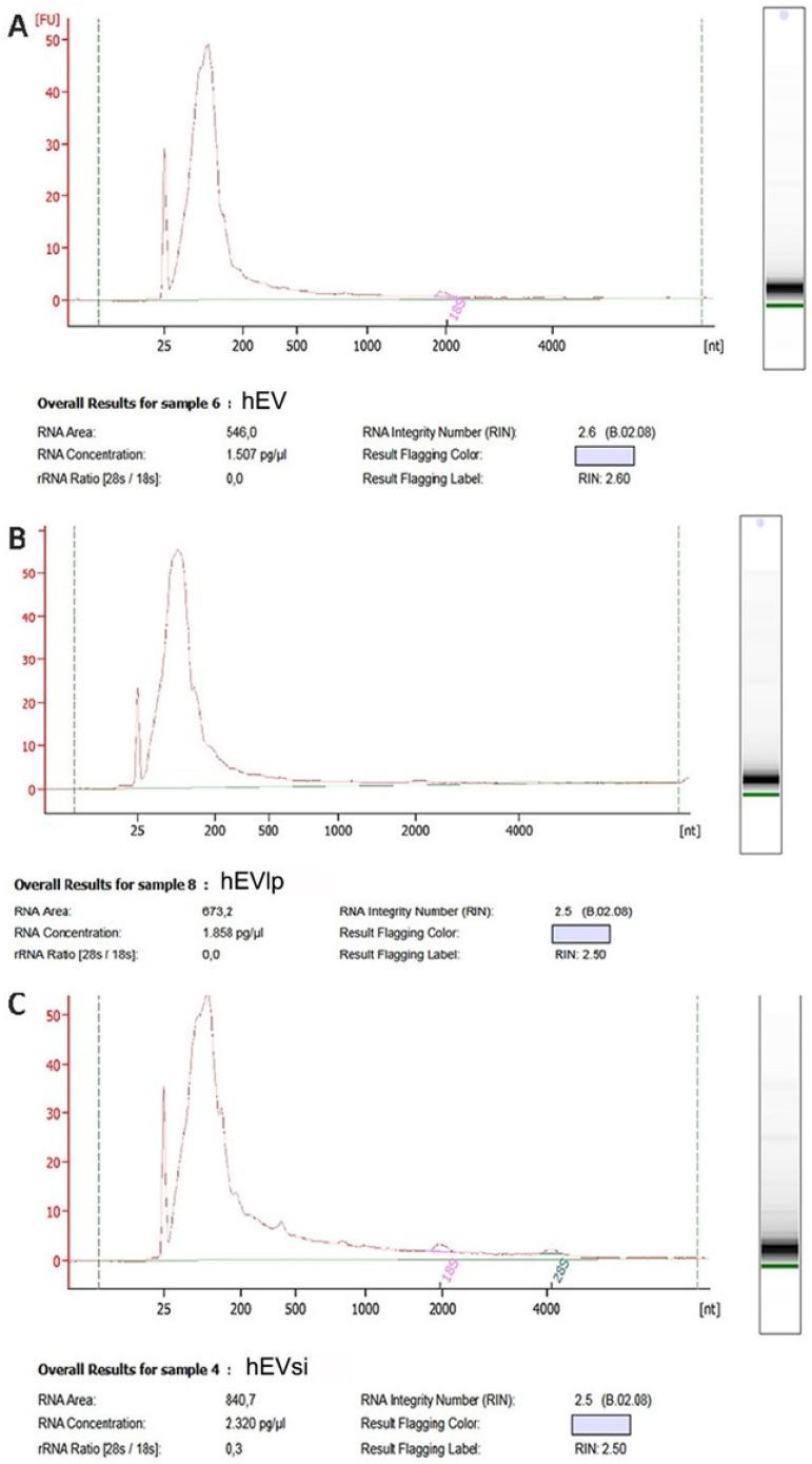 https://cdn.ncbi.nlm.nih.gov/pmc/blobs/8fc9/9501320/71d973337d84/ijms-23-10681-g004.jpg