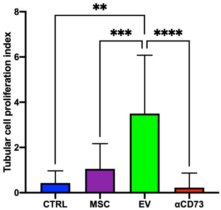 https://cdn.ncbi.nlm.nih.gov/pmc/blobs/8fc9/9501320/b032a90b5229/ijms-23-10681-g006.jpg