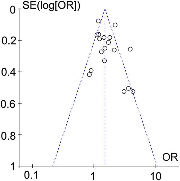 https://cdn.ncbi.nlm.nih.gov/pmc/blobs/8fca/12014560/79e1daddef13/fphys-16-1514585-g006.jpg