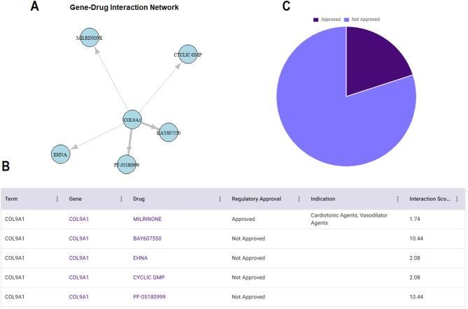https://cdn.ncbi.nlm.nih.gov/pmc/blobs/8fca/12333206/8ff4c021ed38/41065_2025_521_Fig6_HTML.jpg