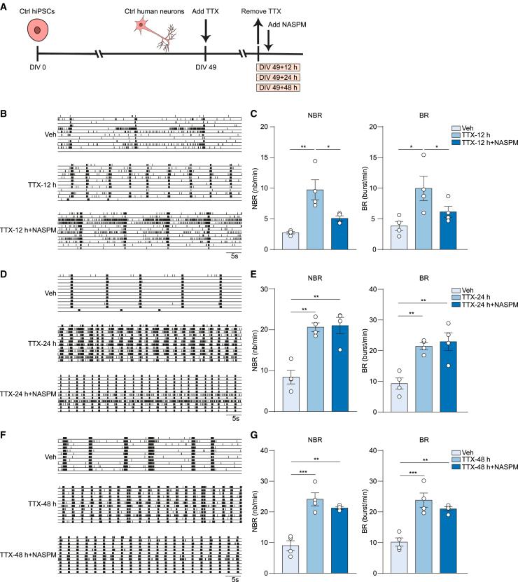 https://cdn.ncbi.nlm.nih.gov/pmc/blobs/8fcb/10679660/09957143bc73/gr2.jpg
