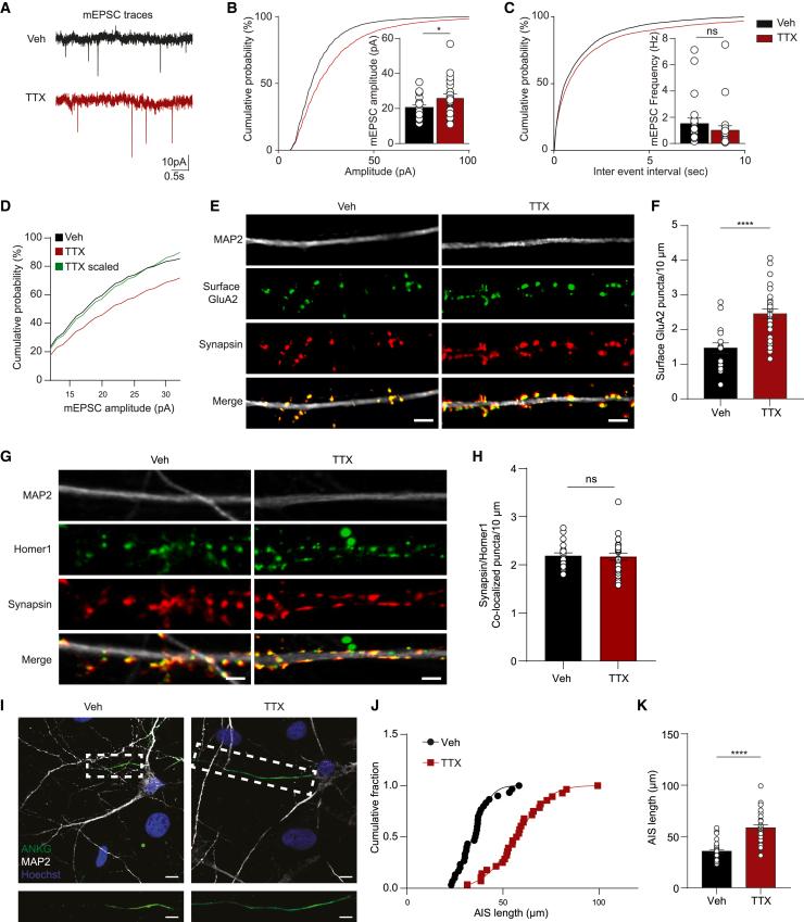 https://cdn.ncbi.nlm.nih.gov/pmc/blobs/8fcb/10679660/7a88dbfa6e4e/gr3.jpg