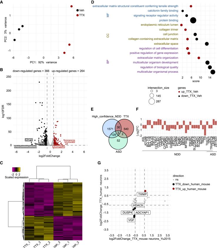 https://cdn.ncbi.nlm.nih.gov/pmc/blobs/8fcb/10679660/a19aae4f8d55/gr4.jpg