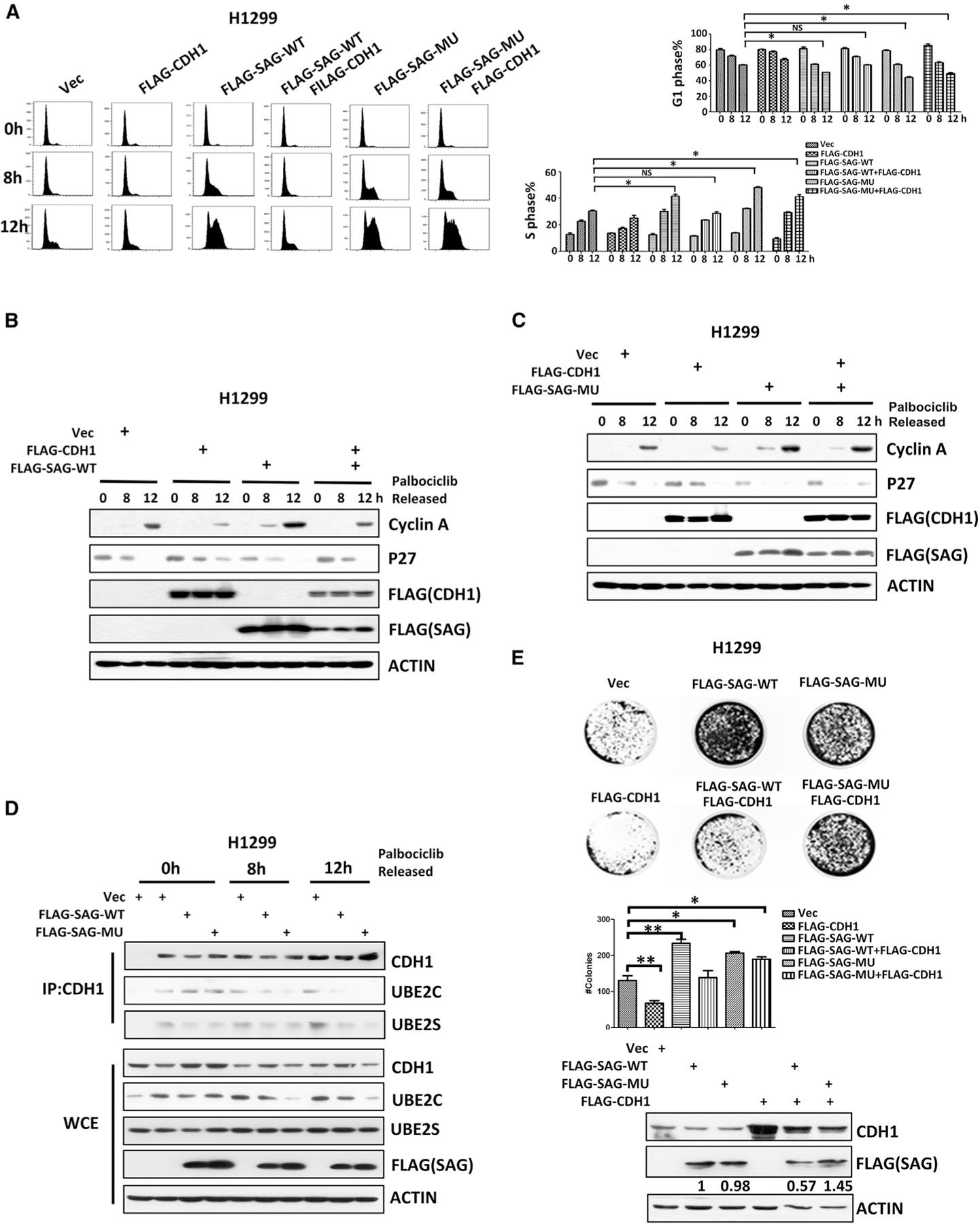 https://cdn.ncbi.nlm.nih.gov/pmc/blobs/8fcb/7505520/2baad7e1aa24/nihms-1627853-f0007.jpg