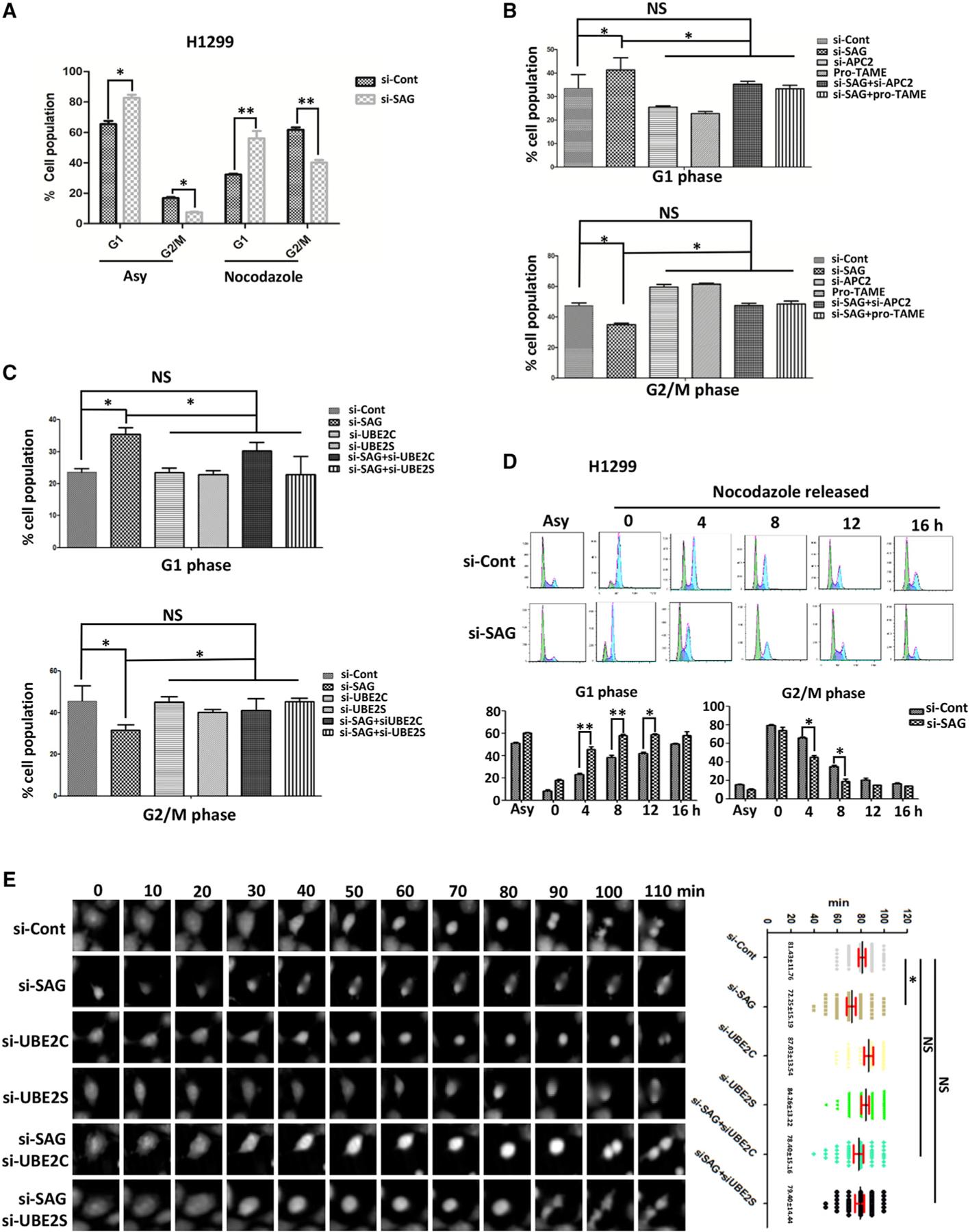 https://cdn.ncbi.nlm.nih.gov/pmc/blobs/8fcb/7505520/8cfc051a28b4/nihms-1627853-f0004.jpg