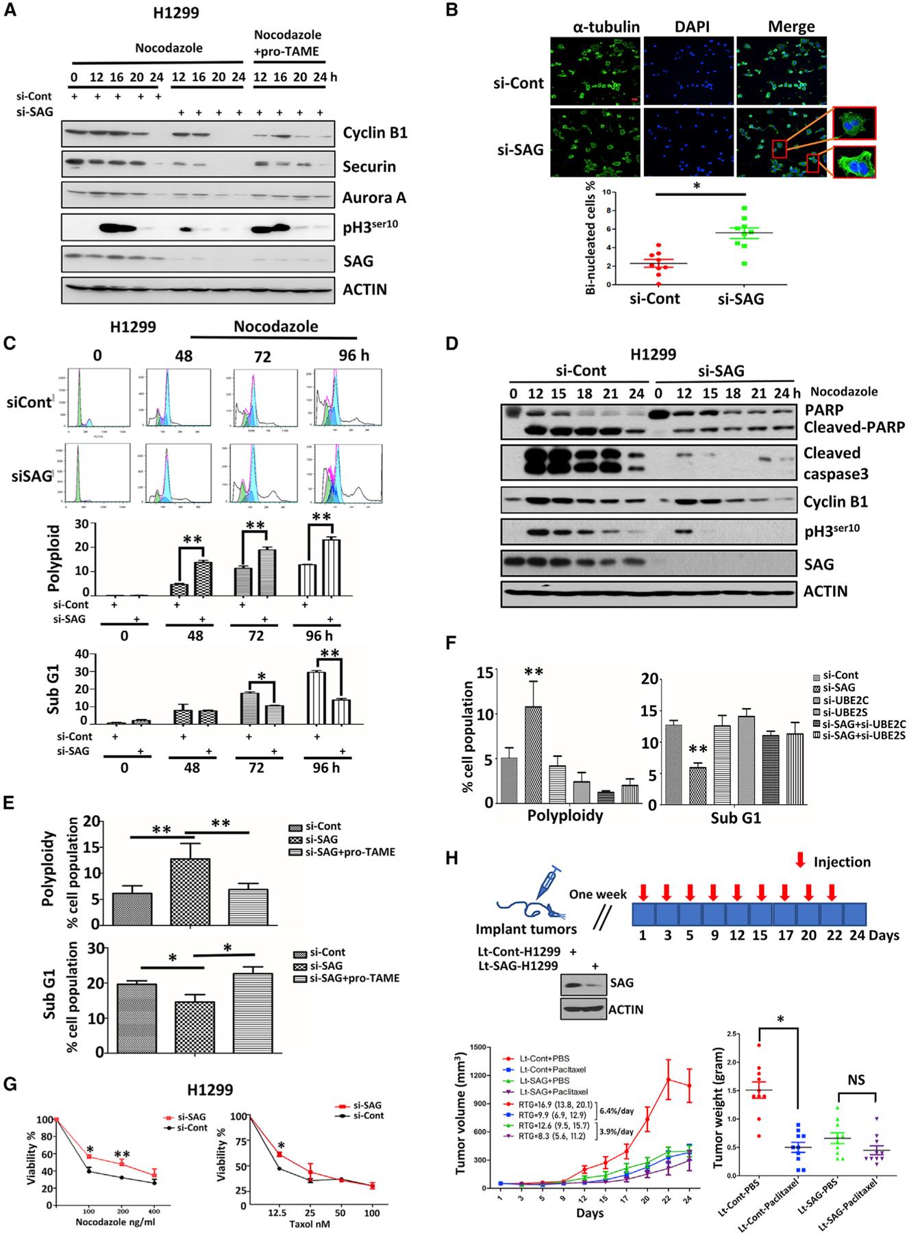 https://cdn.ncbi.nlm.nih.gov/pmc/blobs/8fcb/7505520/92461b0aaee2/nihms-1627853-f0005.jpg