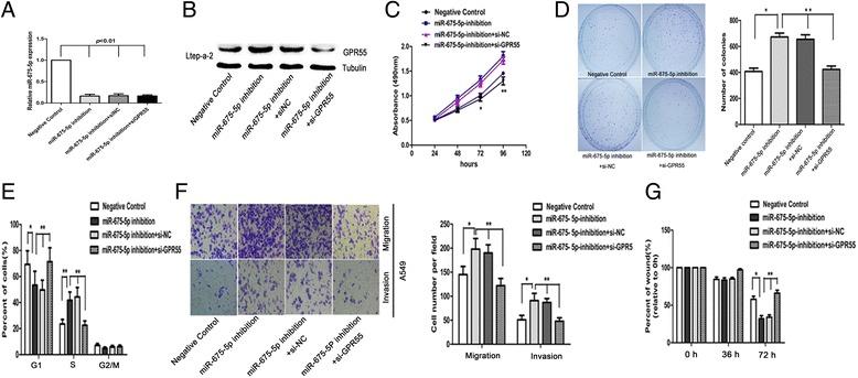 https://cdn.ncbi.nlm.nih.gov/pmc/blobs/8fcd/4392735/edd31f9c820f/12943_2015_342_Fig6_HTML.jpg