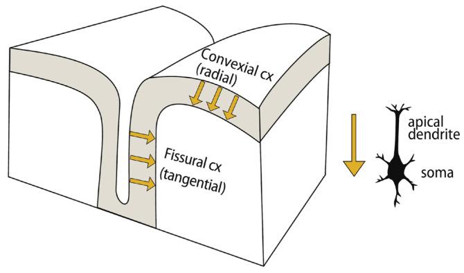 https://cdn.ncbi.nlm.nih.gov/pmc/blobs/8fce/12349212/41293ace55e1/sensors-25-04625-g015.jpg