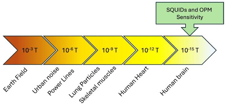 https://cdn.ncbi.nlm.nih.gov/pmc/blobs/8fce/12349212/d7d97c82fd50/sensors-25-04625-g013.jpg