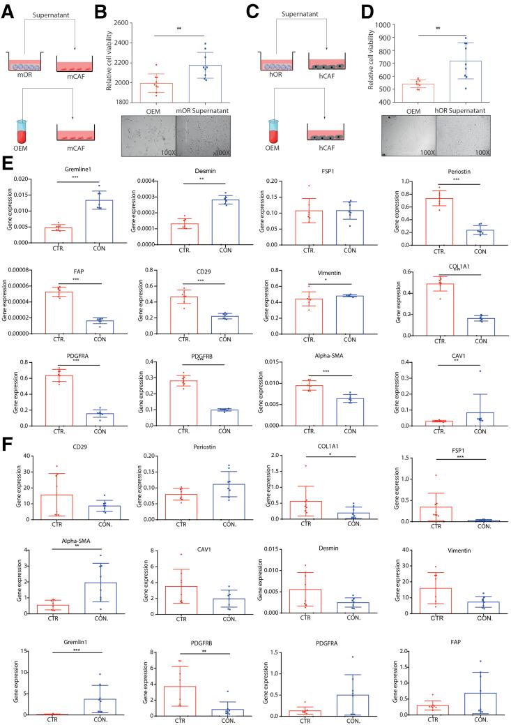 https://cdn.ncbi.nlm.nih.gov/pmc/blobs/8fce/7788239/0210ea4e0d3b/gr8.jpg