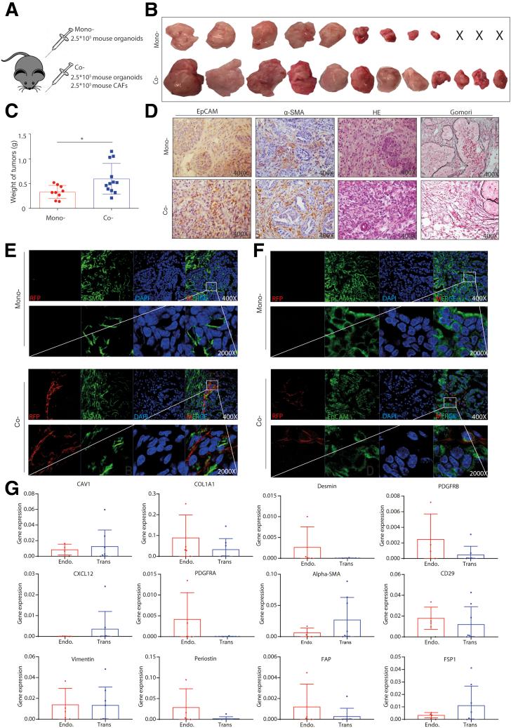 https://cdn.ncbi.nlm.nih.gov/pmc/blobs/8fce/7788239/44b63329e6d7/gr9.jpg