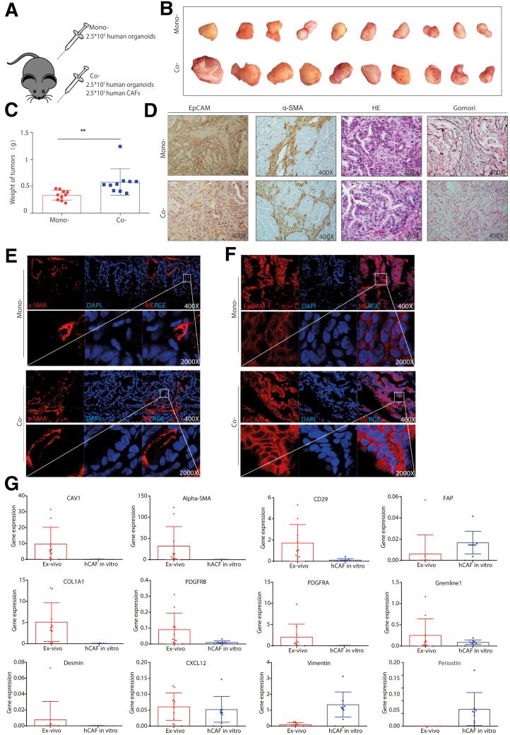 https://cdn.ncbi.nlm.nih.gov/pmc/blobs/8fce/7788239/564c84d607e2/gr10.jpg