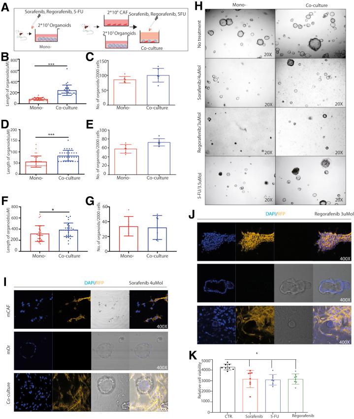 https://cdn.ncbi.nlm.nih.gov/pmc/blobs/8fce/7788239/97da9ed91879/gr11.jpg