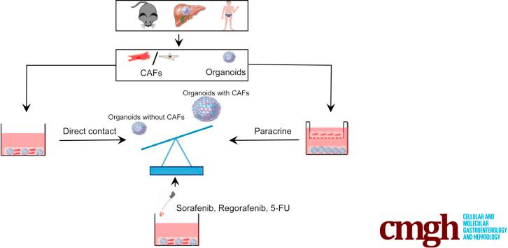 https://cdn.ncbi.nlm.nih.gov/pmc/blobs/8fce/7788239/9e049ea5cfca/fx1.jpg