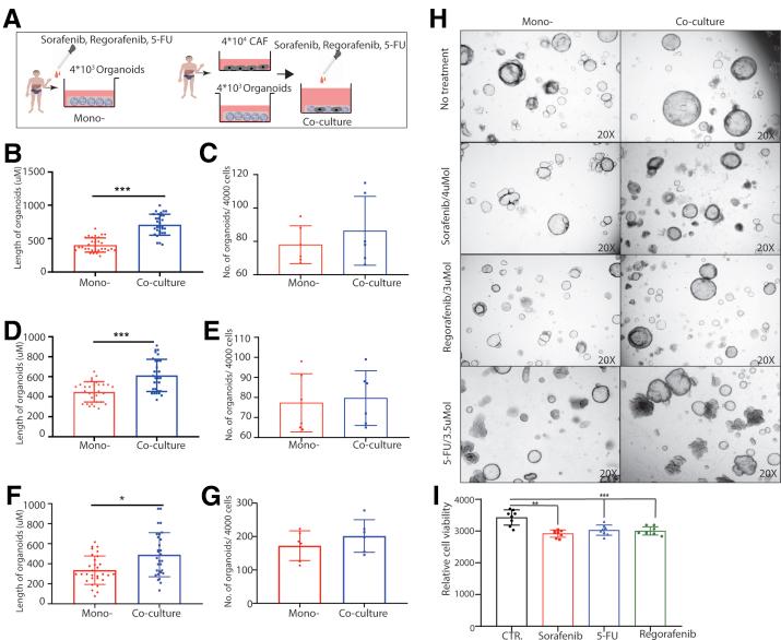 https://cdn.ncbi.nlm.nih.gov/pmc/blobs/8fce/7788239/d0608654c6ea/gr12.jpg