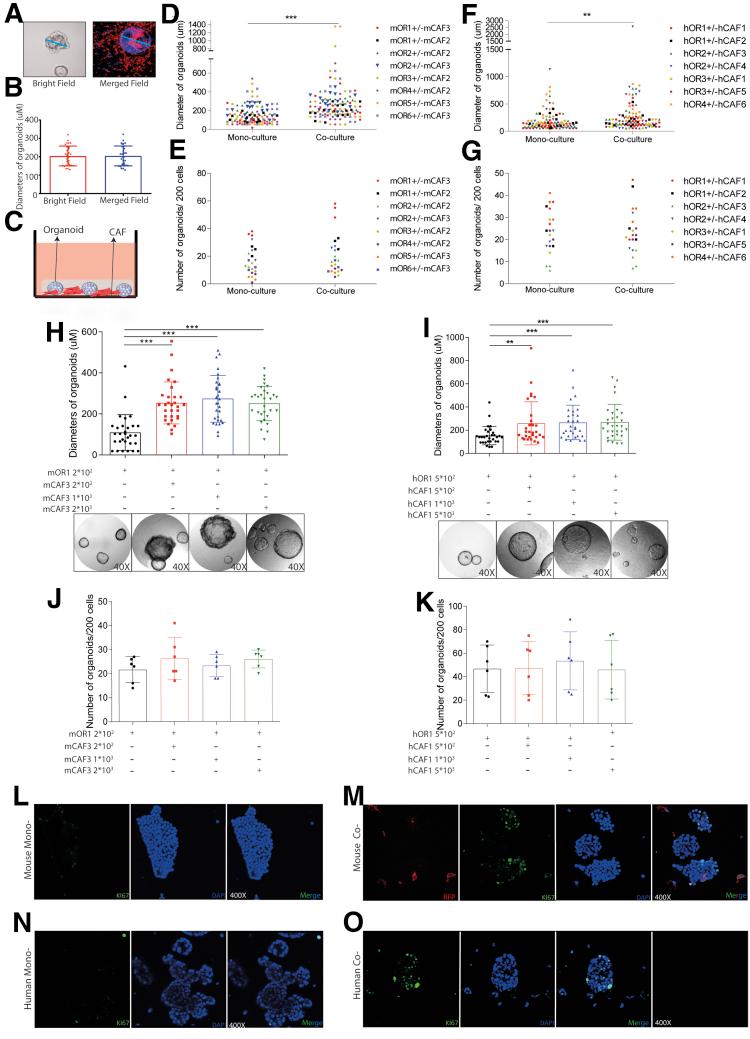 https://cdn.ncbi.nlm.nih.gov/pmc/blobs/8fce/7788239/ecb3c5929d5b/gr5.jpg