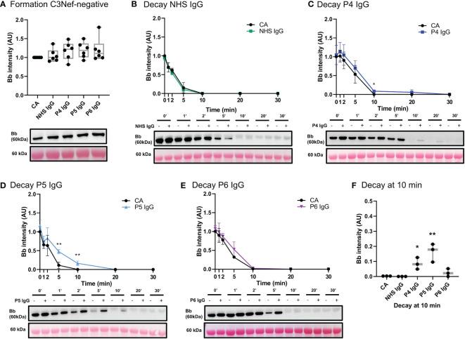https://cdn.ncbi.nlm.nih.gov/pmc/blobs/8fce/9947773/169798d7bcbb/fimmu-13-1073802-g008.jpg