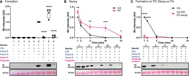 https://cdn.ncbi.nlm.nih.gov/pmc/blobs/8fce/9947773/41f2f7d10e40/fimmu-13-1073802-g003.jpg